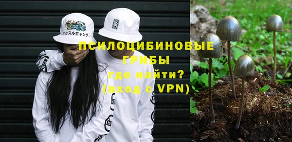 соль курить ск Заводоуковск